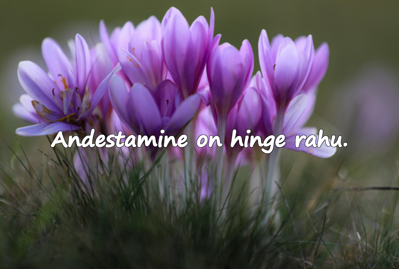 Sõnad andestamisest