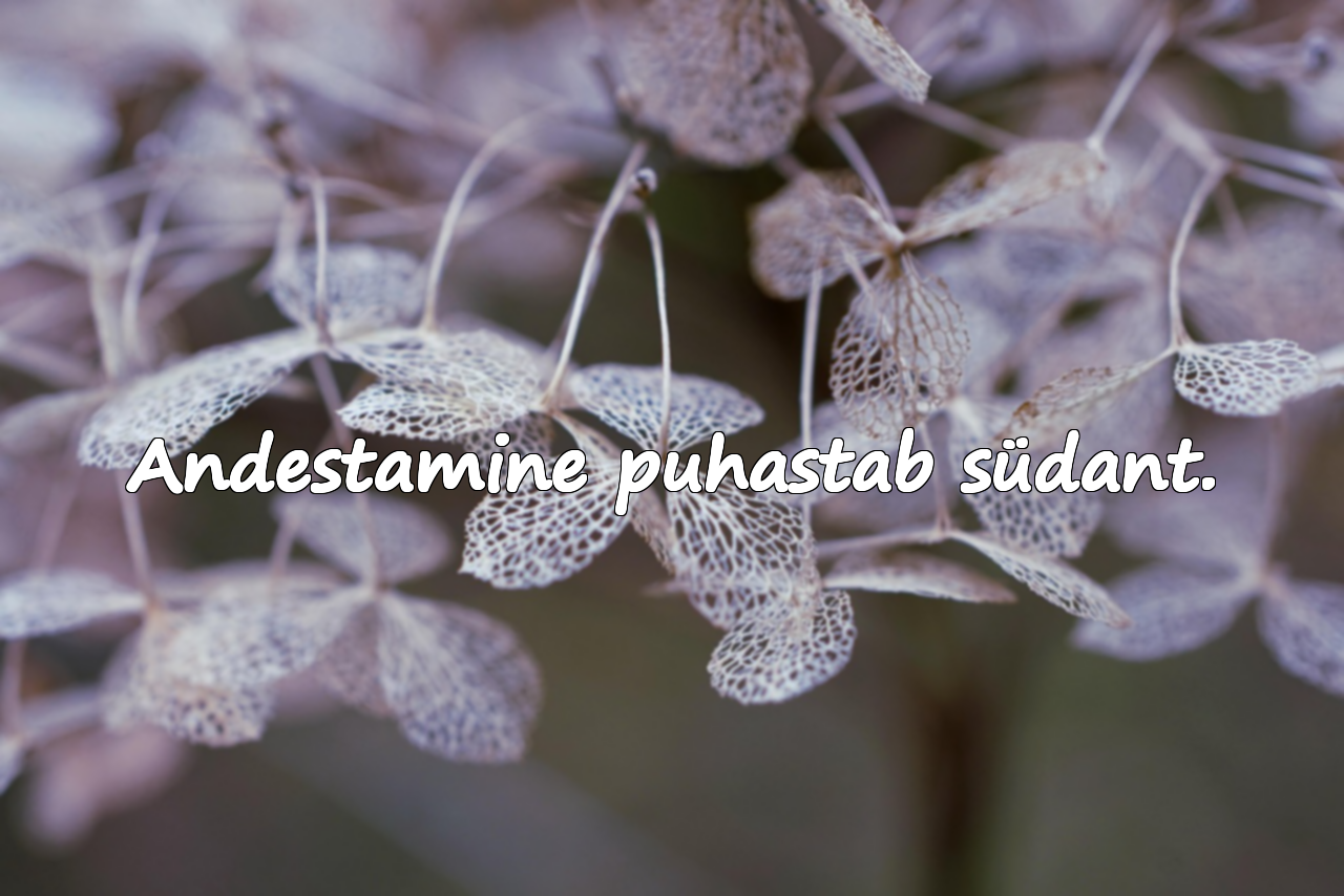 Sõnad andestamisest