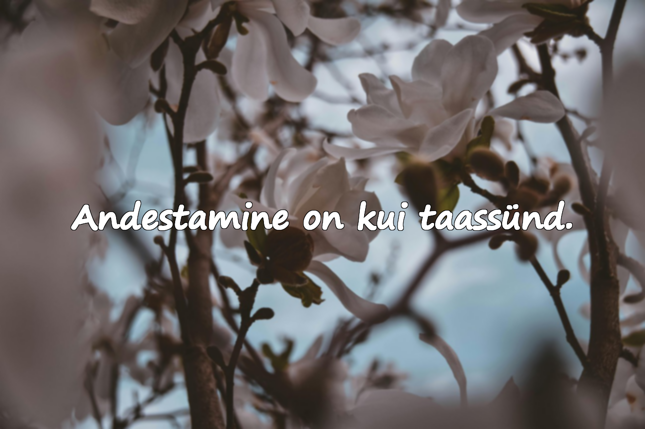 Sõnad andestamisest