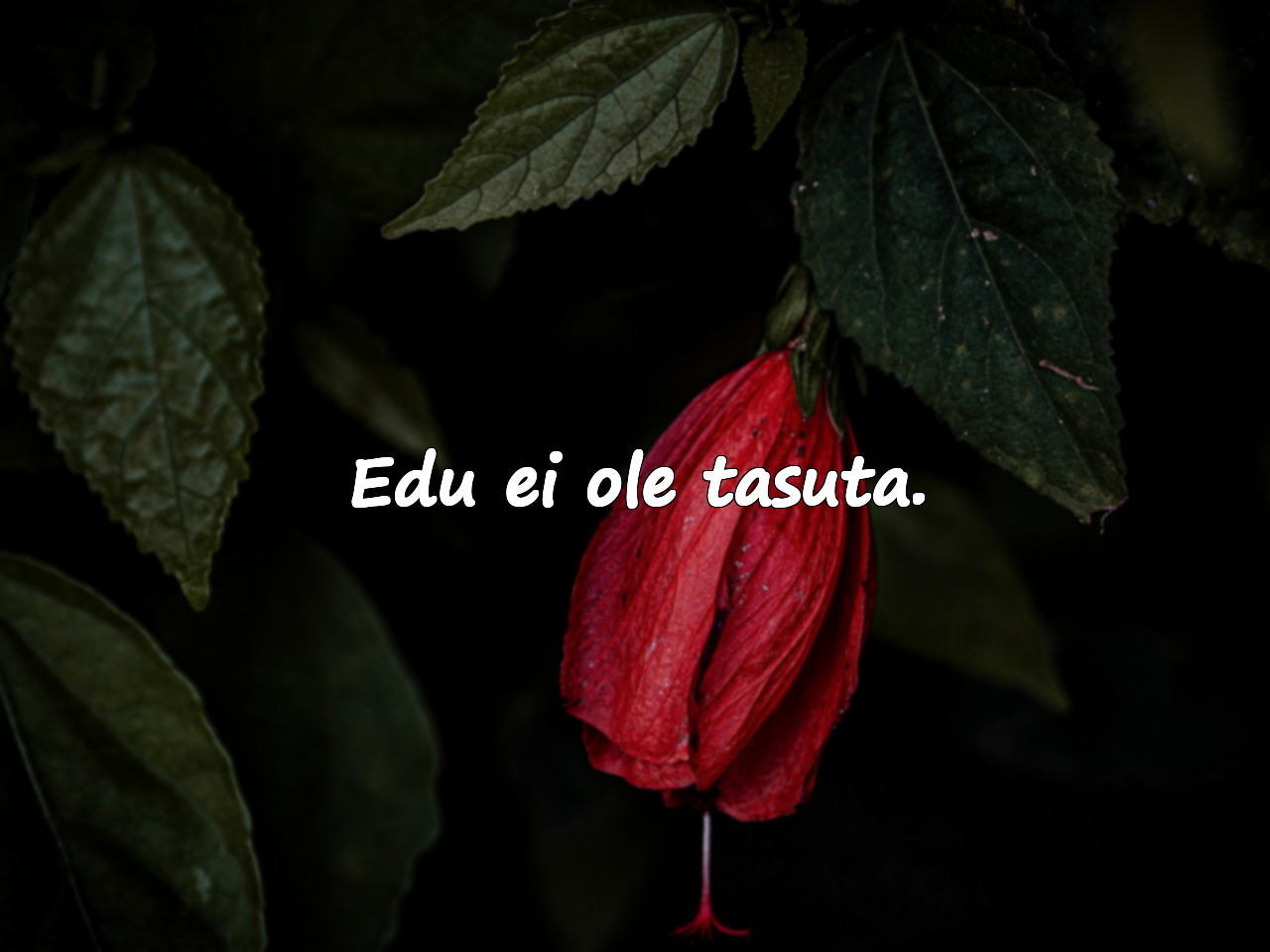 Sõnad hinna maksmise kohta
