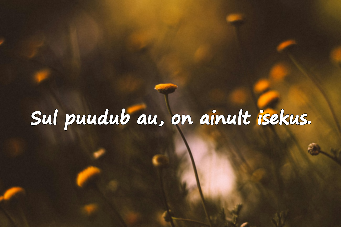 Sul puudub au, on ainult isekus.