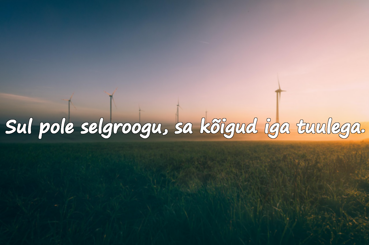 Sul pole selgroogu, sa kõigud iga tuulega.