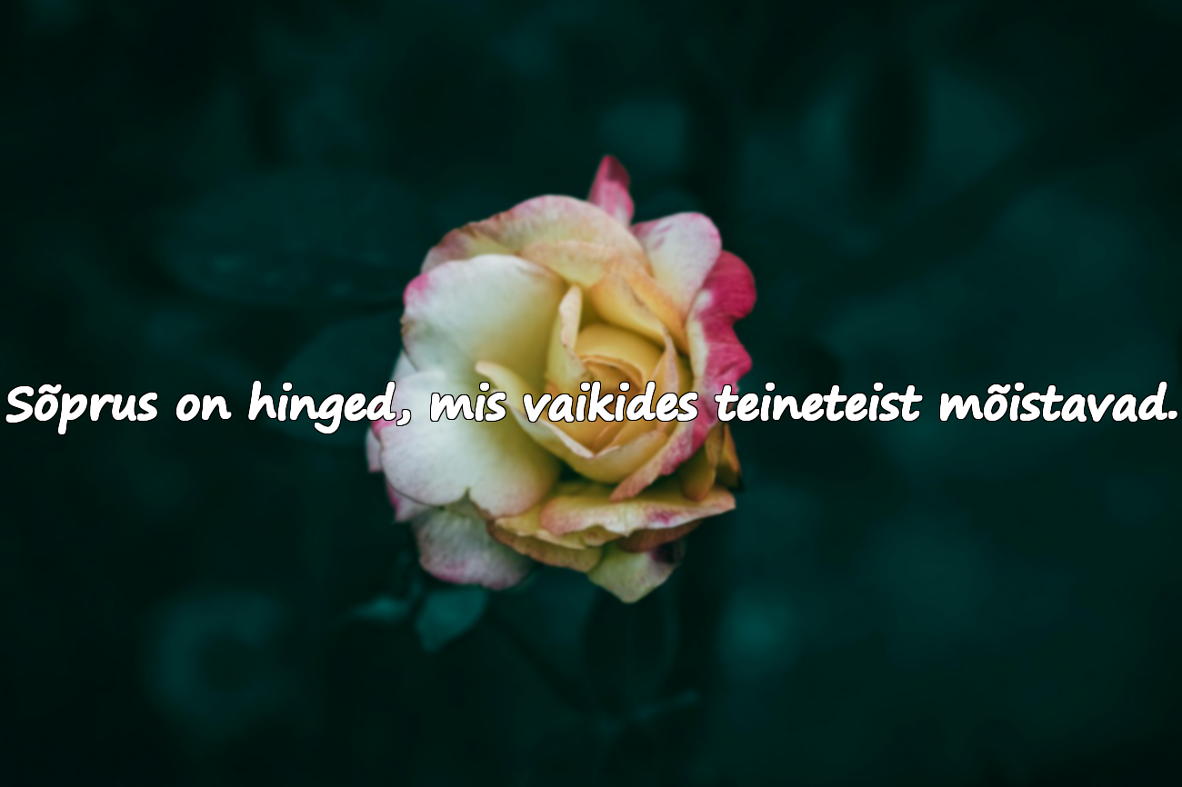 Sõprus on hinged, mis vaikides teineteist mõistavad.