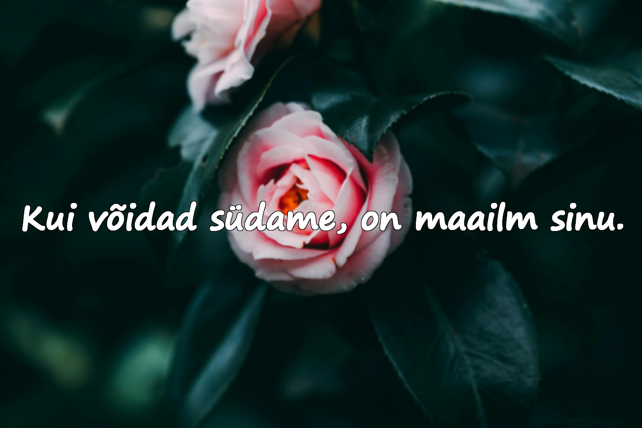 Südame (hinge) kohta sõnad