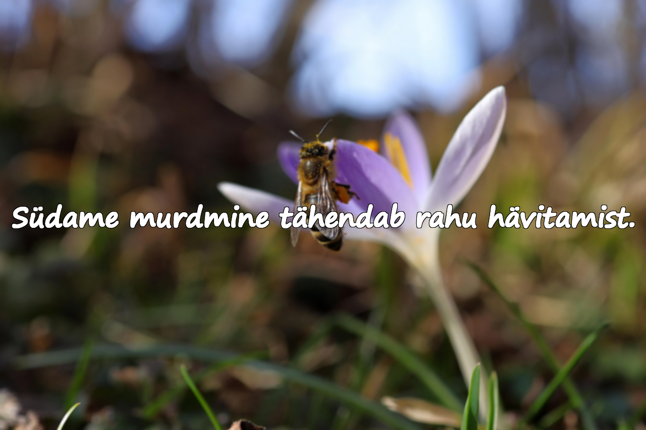 Südame murdmisega seotud tsitaadid