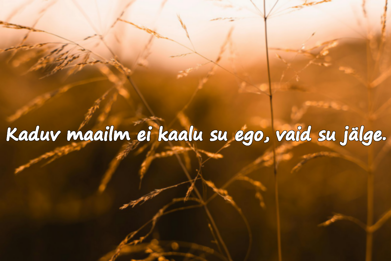 Saatvad tsitaadid kaduviku kohta