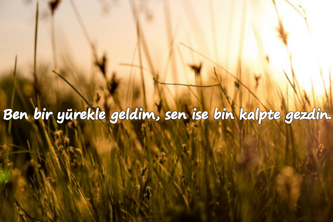 Ben bir yürekle geldim, sen ise bin kalpte gezdin.