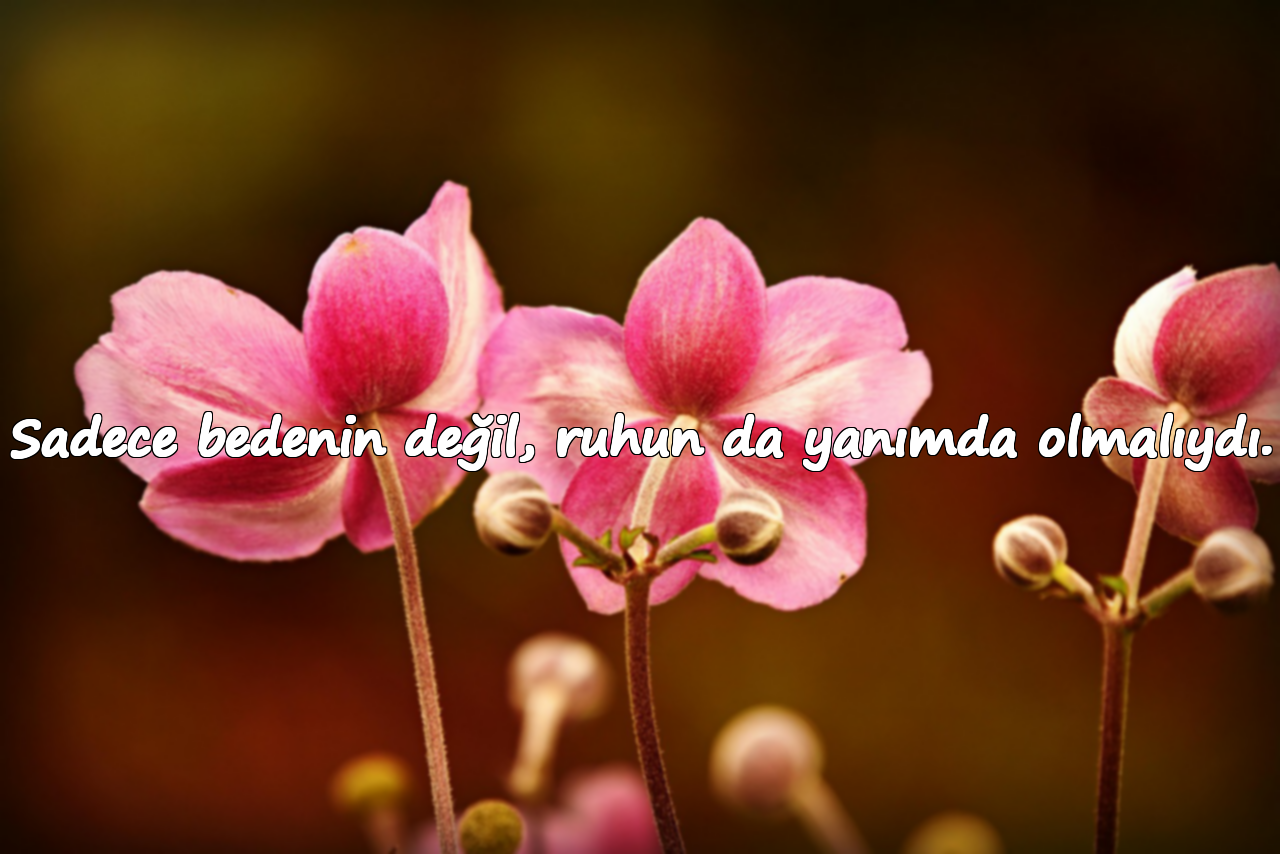 Sadece bedenin değil, ruhun da yanımda olmalıydı.