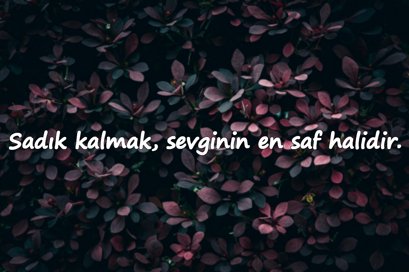 Sadık kalmak, sevginin en saf halidir.