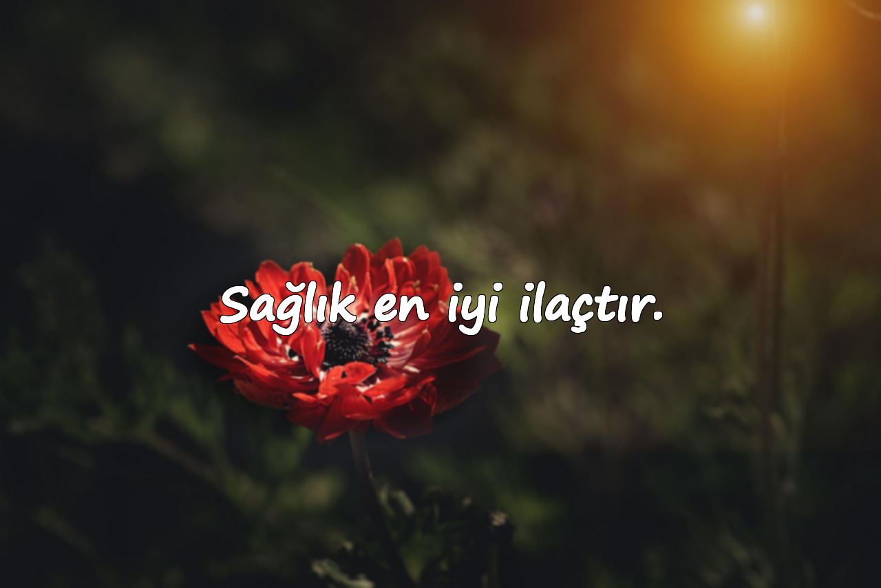 Sağlık en iyi ilaçtır.