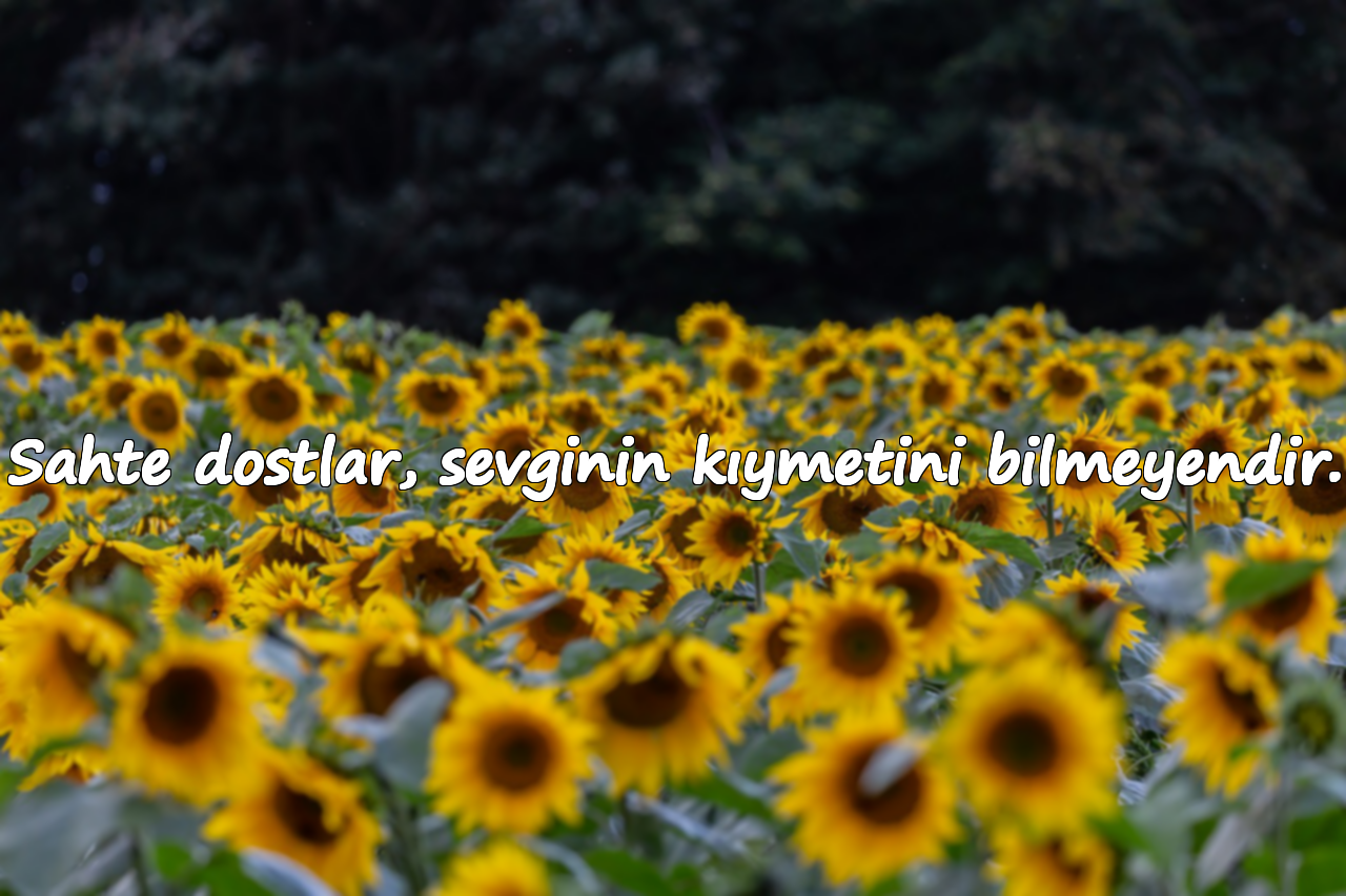 Sahte dostlar, sevginin kıymetini bilmeyendir.