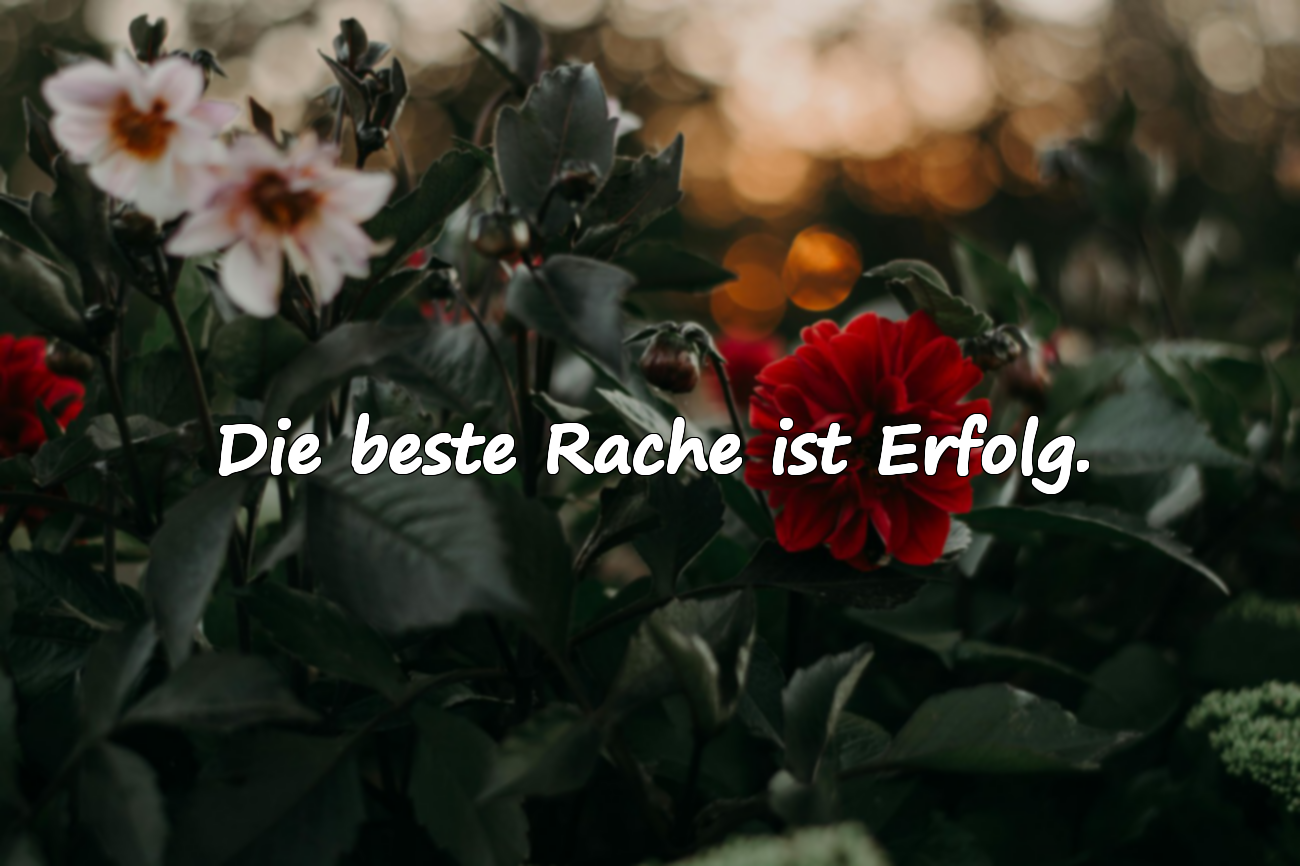 Die beste Rache ist Erfolg.