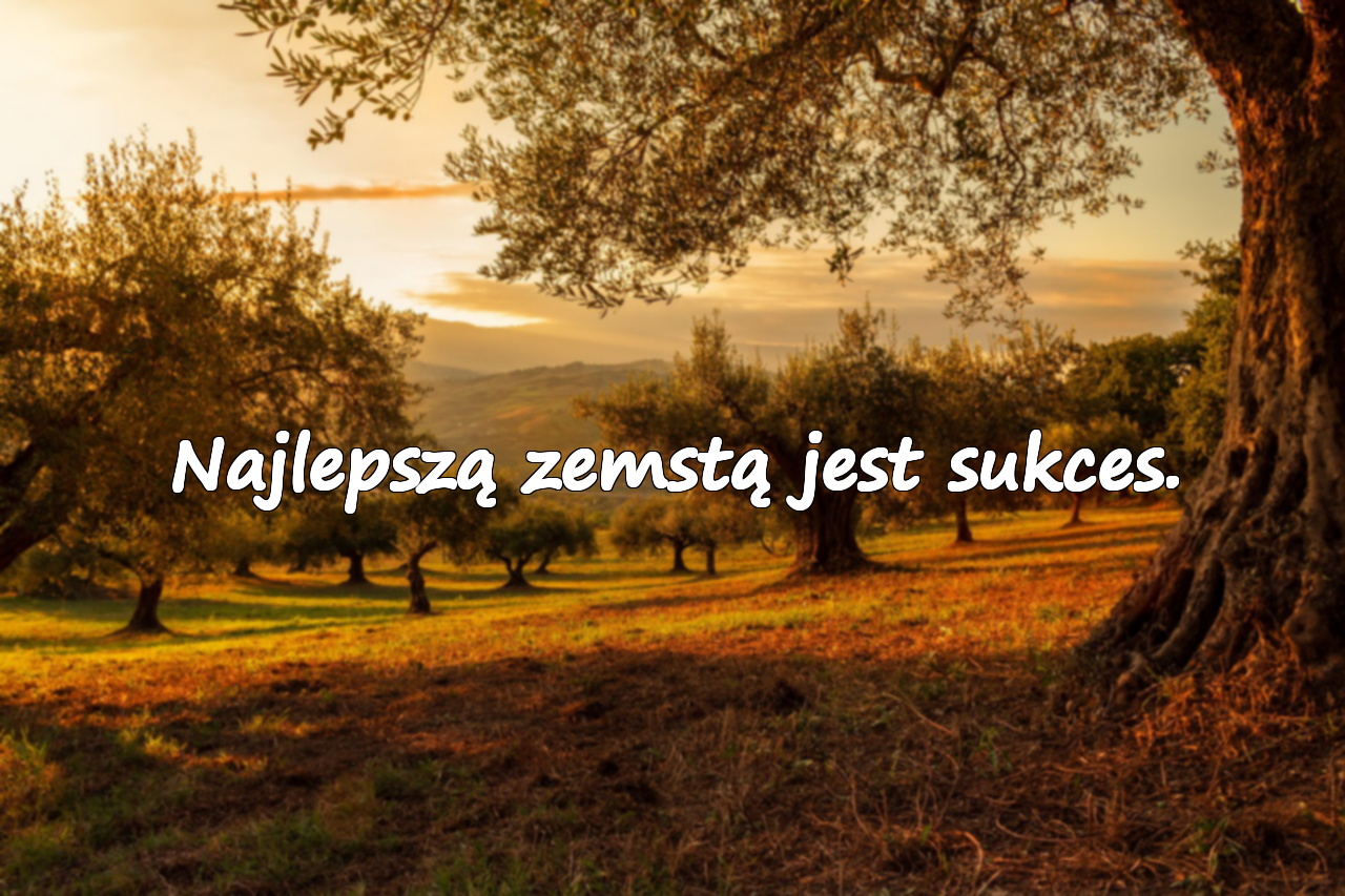 Sarkastyczne i głębokie cytaty