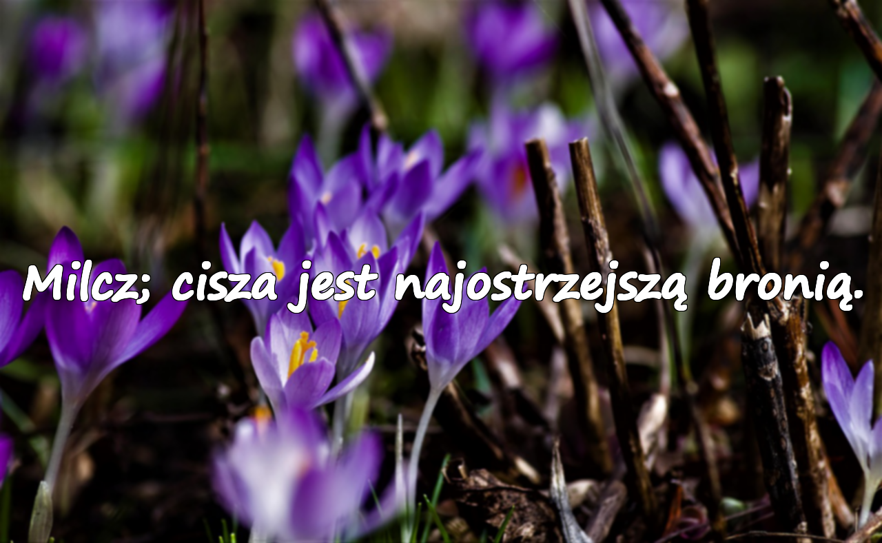 Sarkastyczne i głębokie cytaty