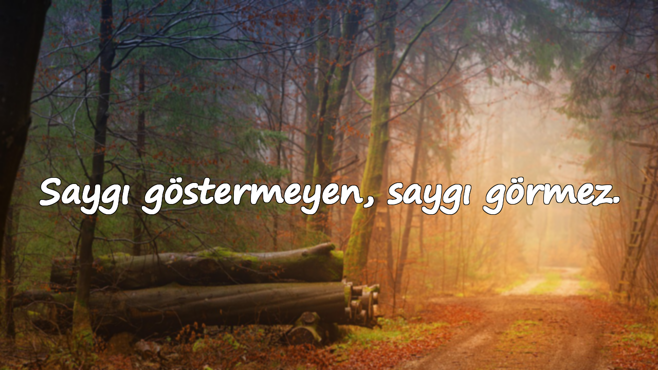 Saygı göstermeyen, saygı görmez.