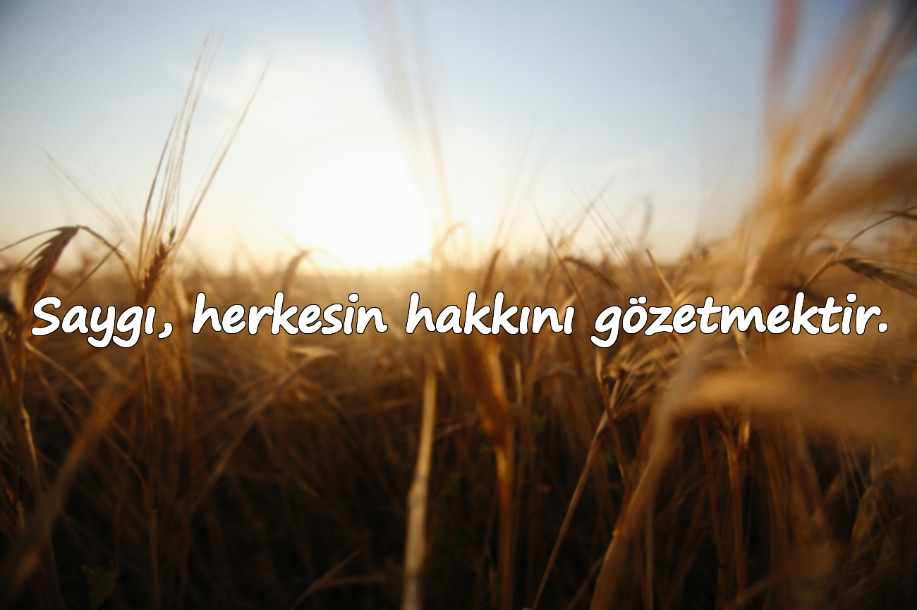 Saygı, herkesin hakkını gözetmektir.