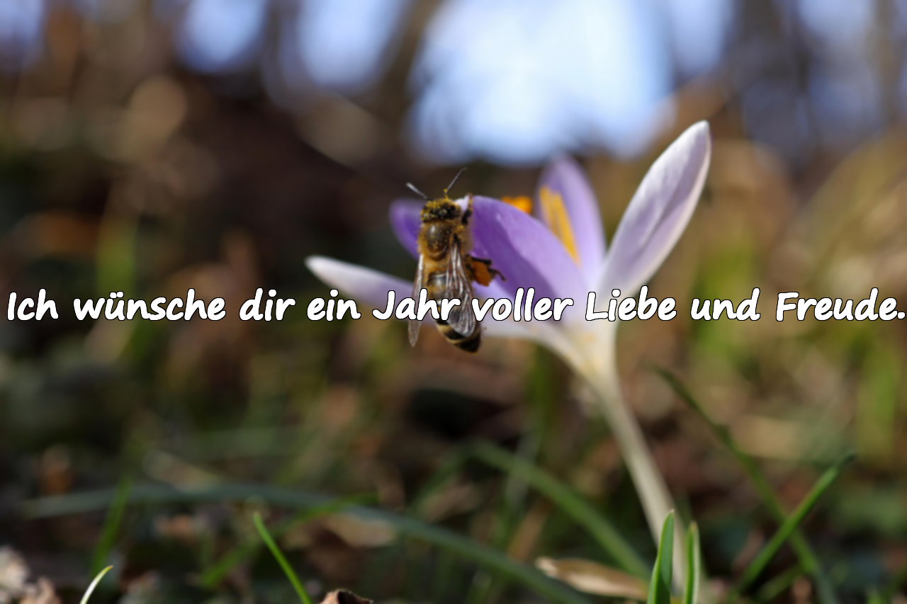 Ich wünsche dir ein Jahr voller Liebe und Freude.