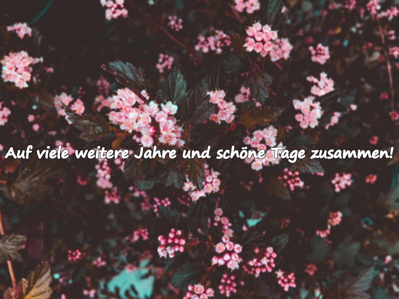 Schöne Geburtstagswünsche