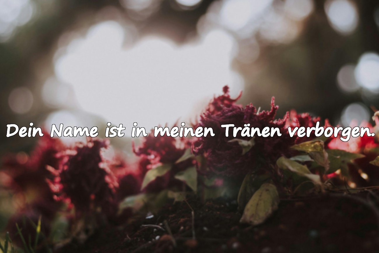 Dein Name ist in meinen Tränen verborgen.