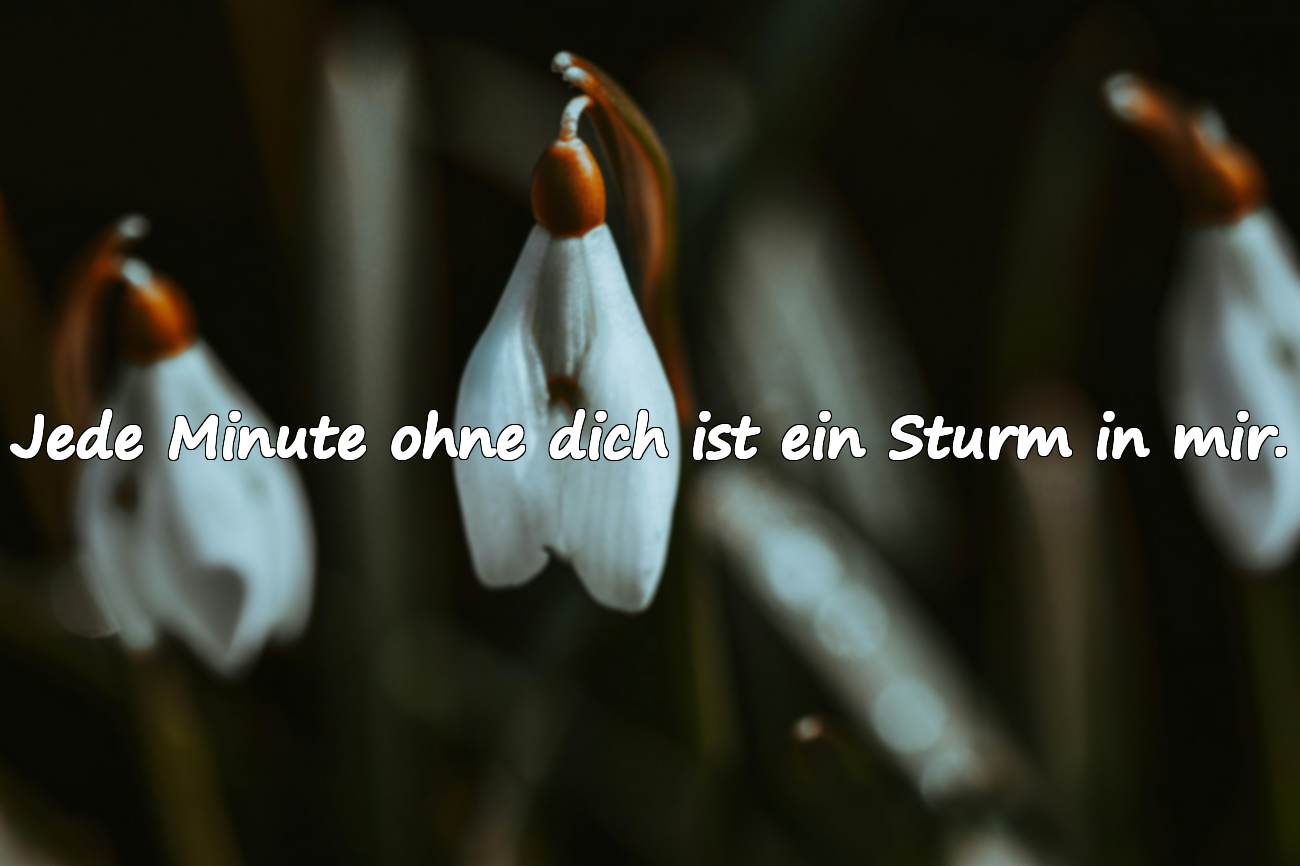 Jede Minute ohne dich ist ein Sturm in mir.