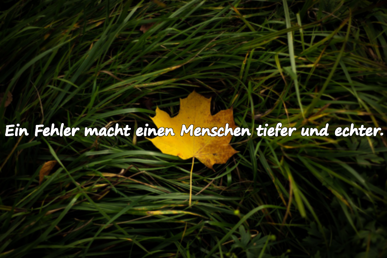 Ein Fehler macht einen Menschen tiefer und echter.