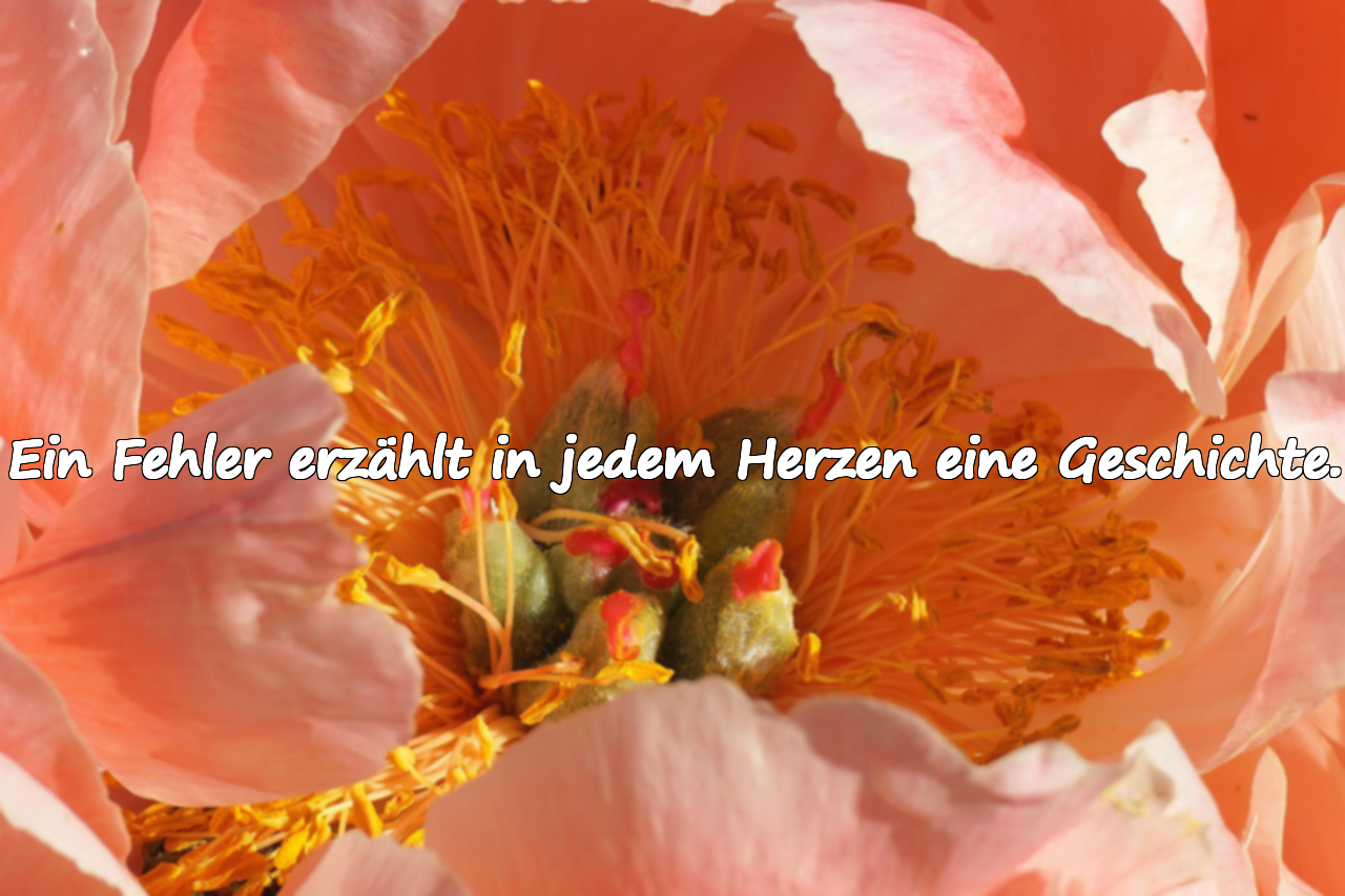 Ein Fehler erzählt in jedem Herzen eine Geschichte.