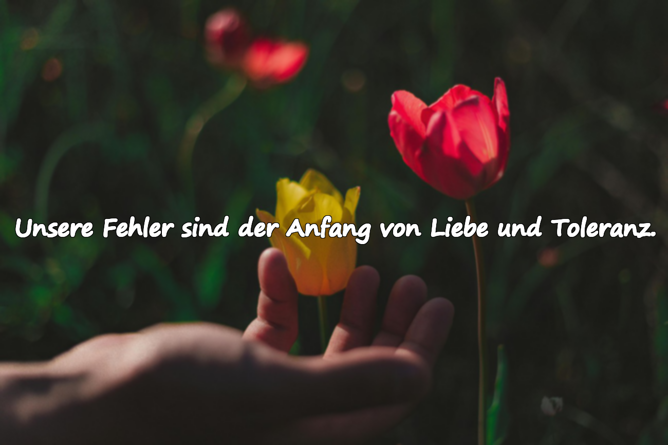 Unsere Fehler sind der Anfang von Liebe und Toleranz.