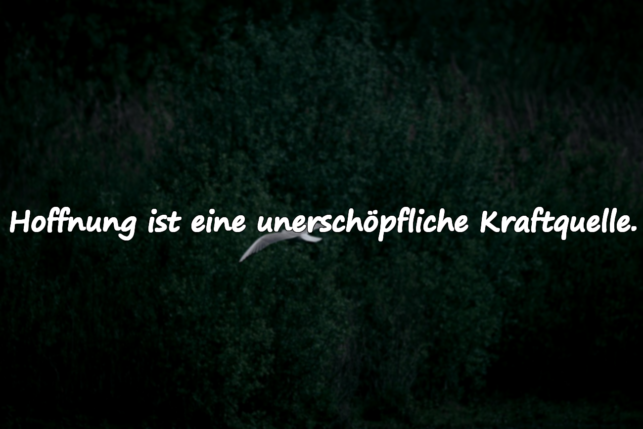 Hoffnung ist eine unerschöpfliche Kraftquelle.