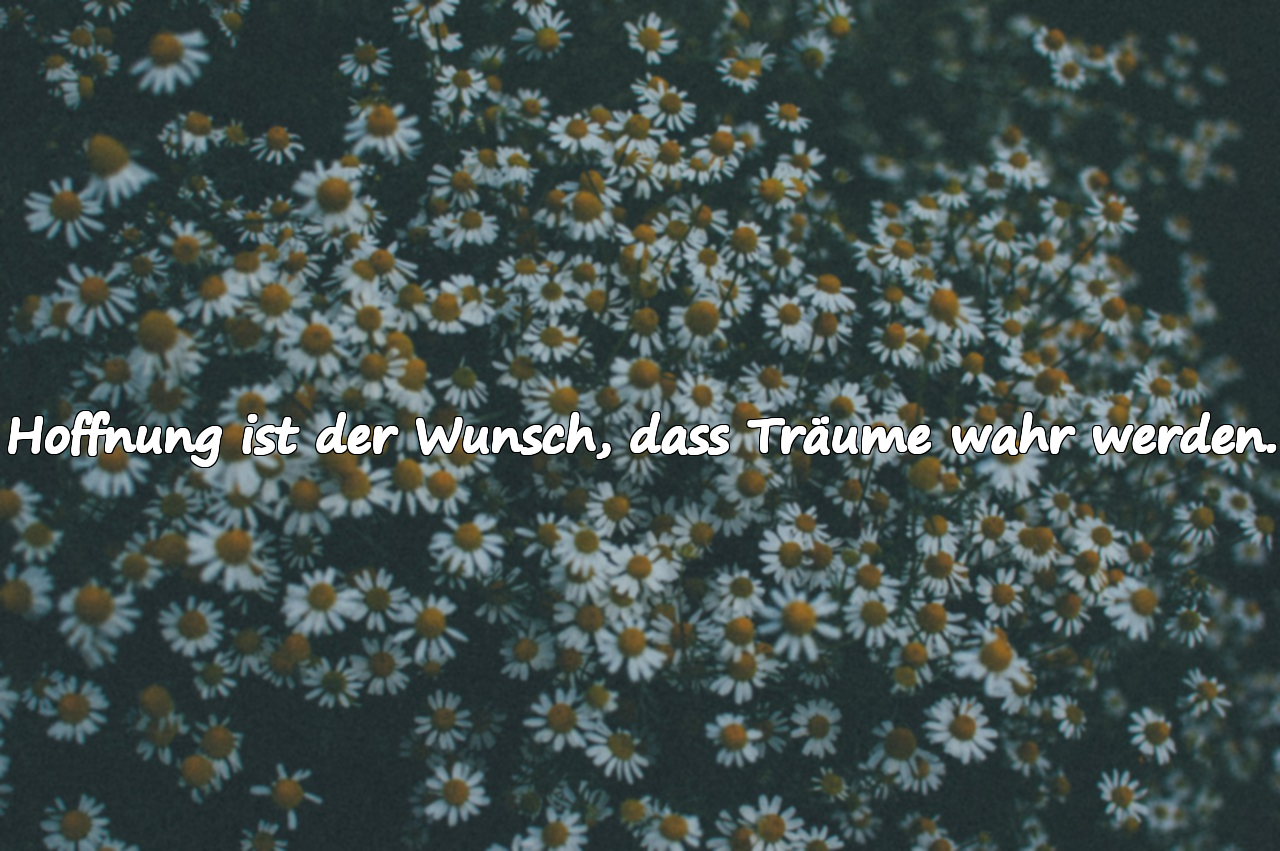 Hoffnung ist der Wunsch, dass Träume wahr werden.