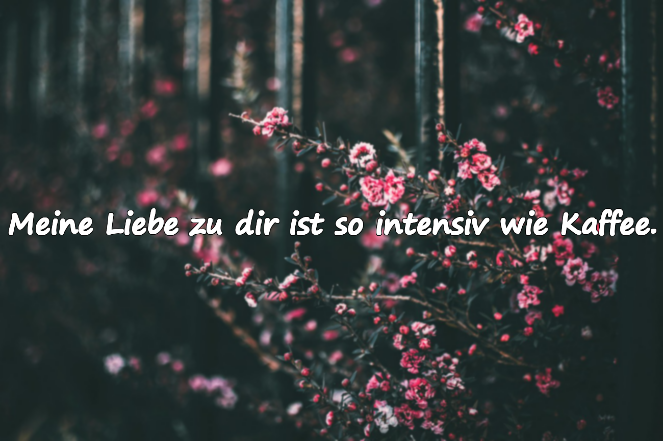 Schöne Zitate über Kaffee