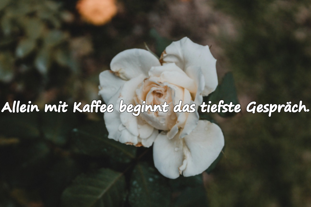Schöne Zitate über Kaffee