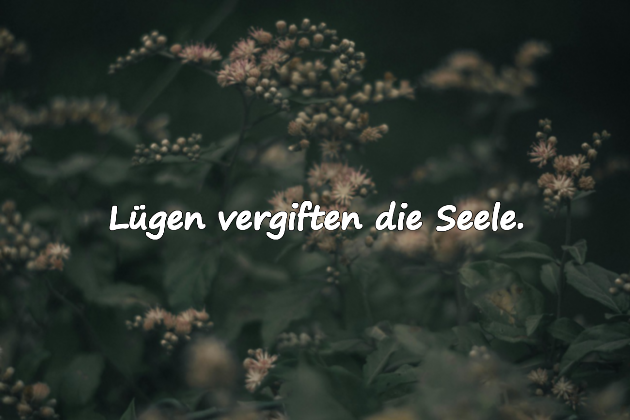 Schöne Zitate über Lügen