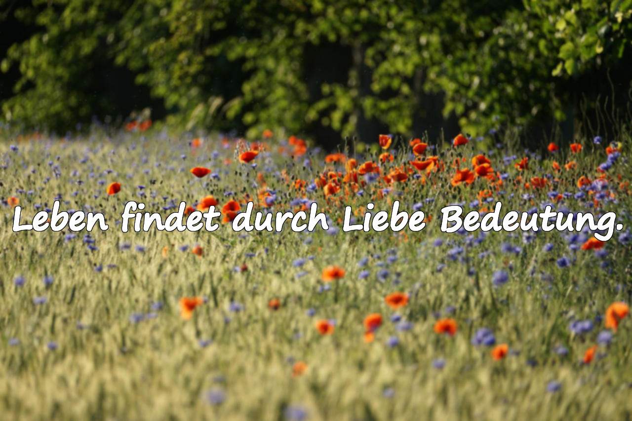 Schöne Zitate über das Leben