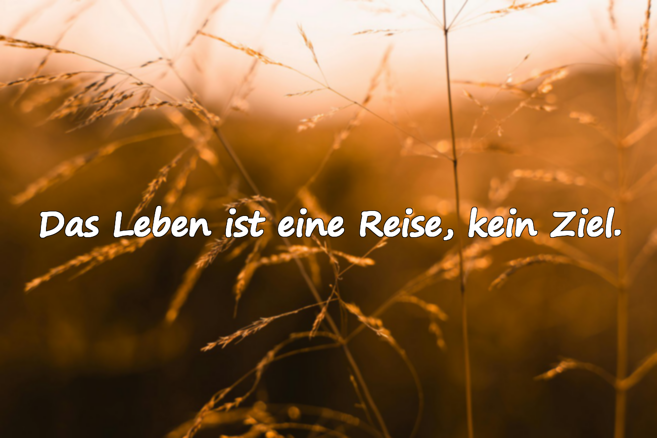 Schöne Zitate über das Leben