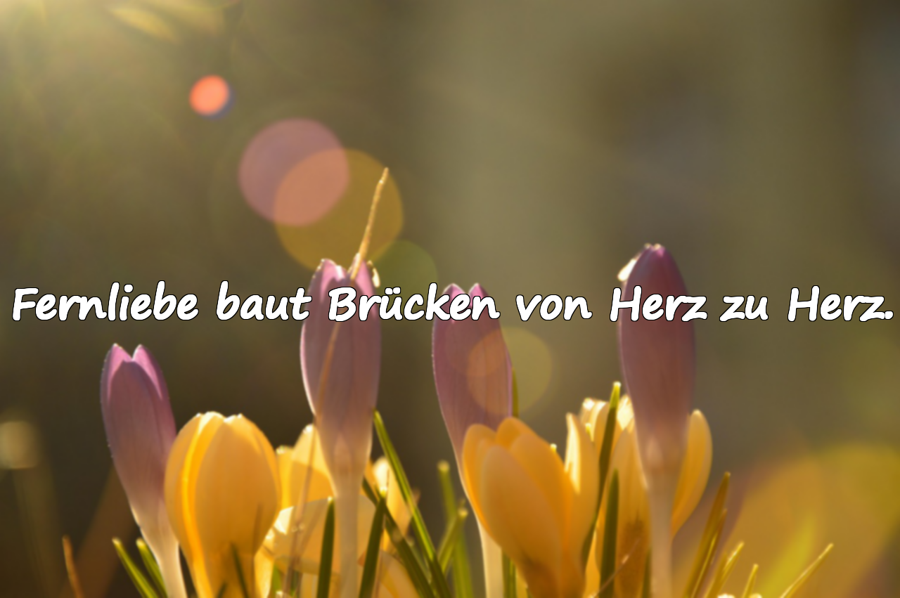 Schöne Zitate über das Lieben aus der Ferne
