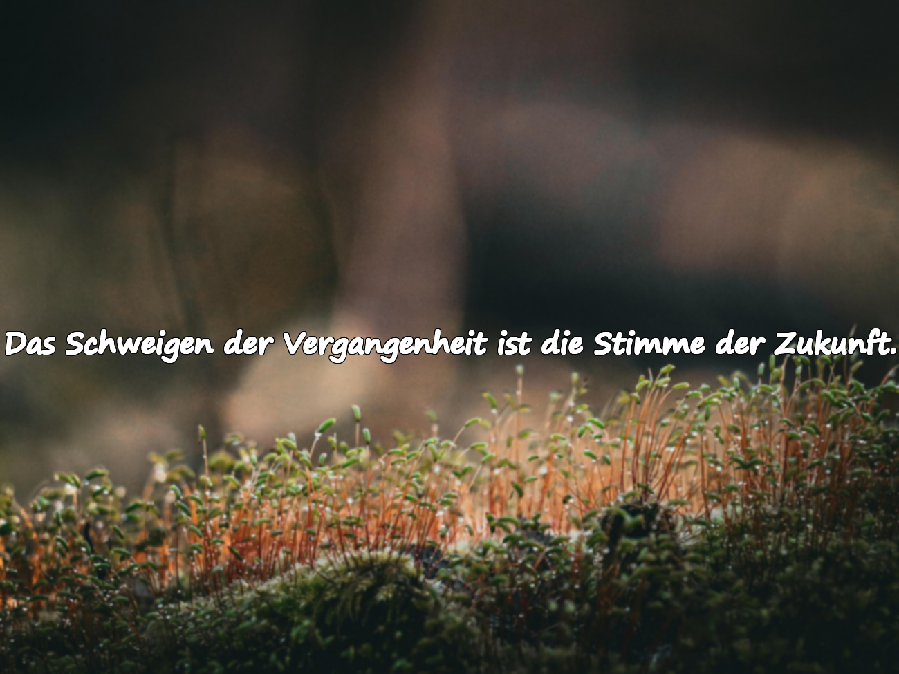 Schöne Zitate über die Vergangenheit