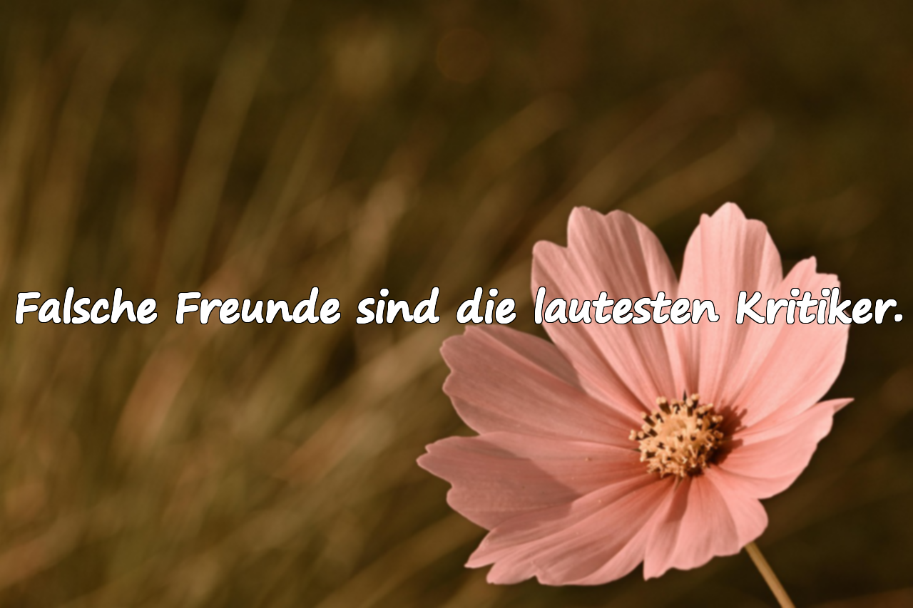 Scharfe Worte