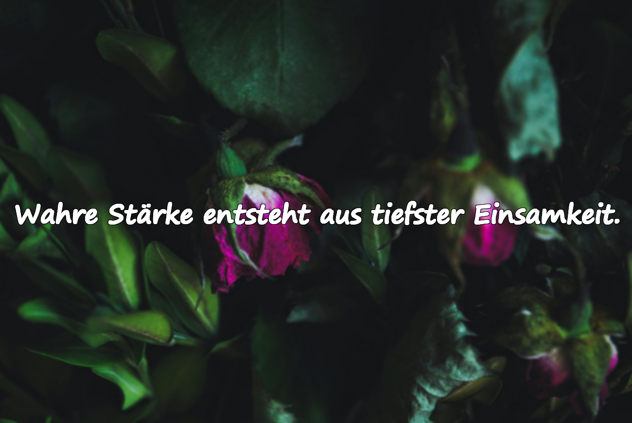 Scharfe Worte