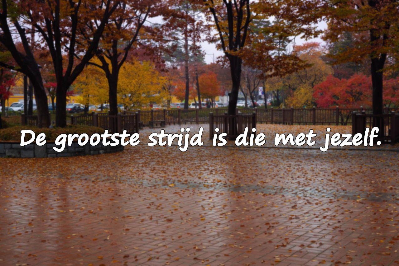 Scherpe Woorden