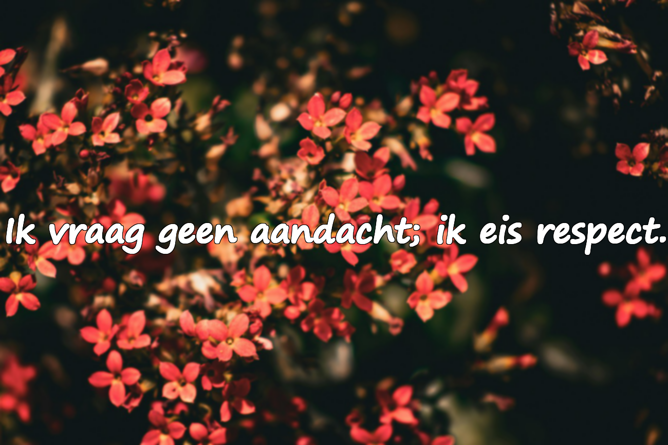 Scherpe Woorden