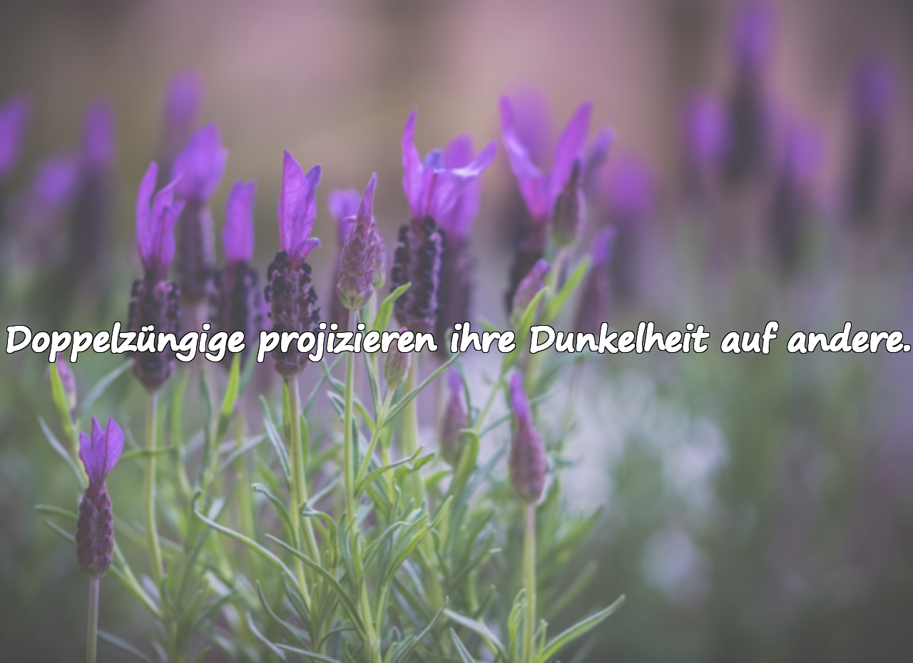 Schwere, anspielungsreiche Worte für Doppelzüngige