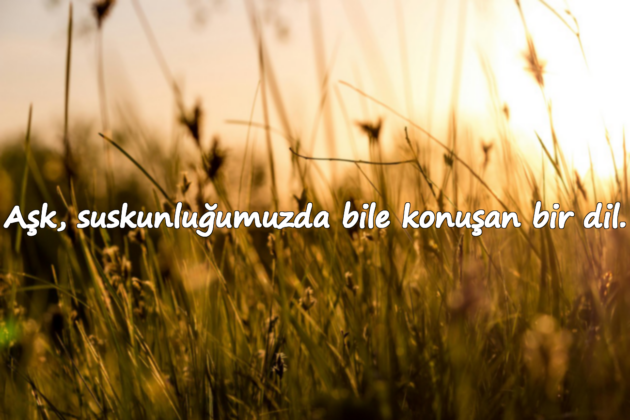 Aşk, suskunluğumuzda bile konuşan bir dil.