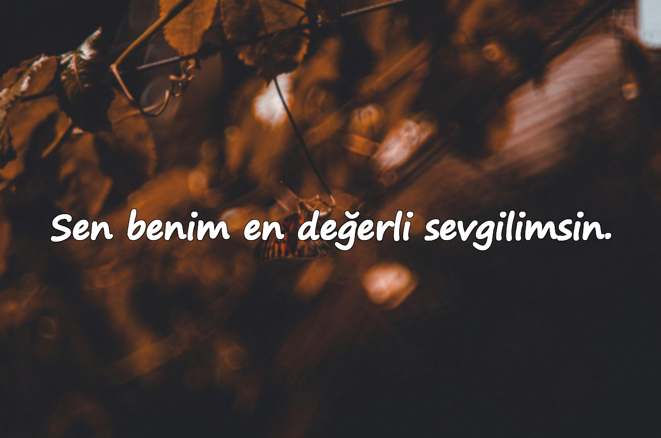Sen benim en değerli sevgilimsin.