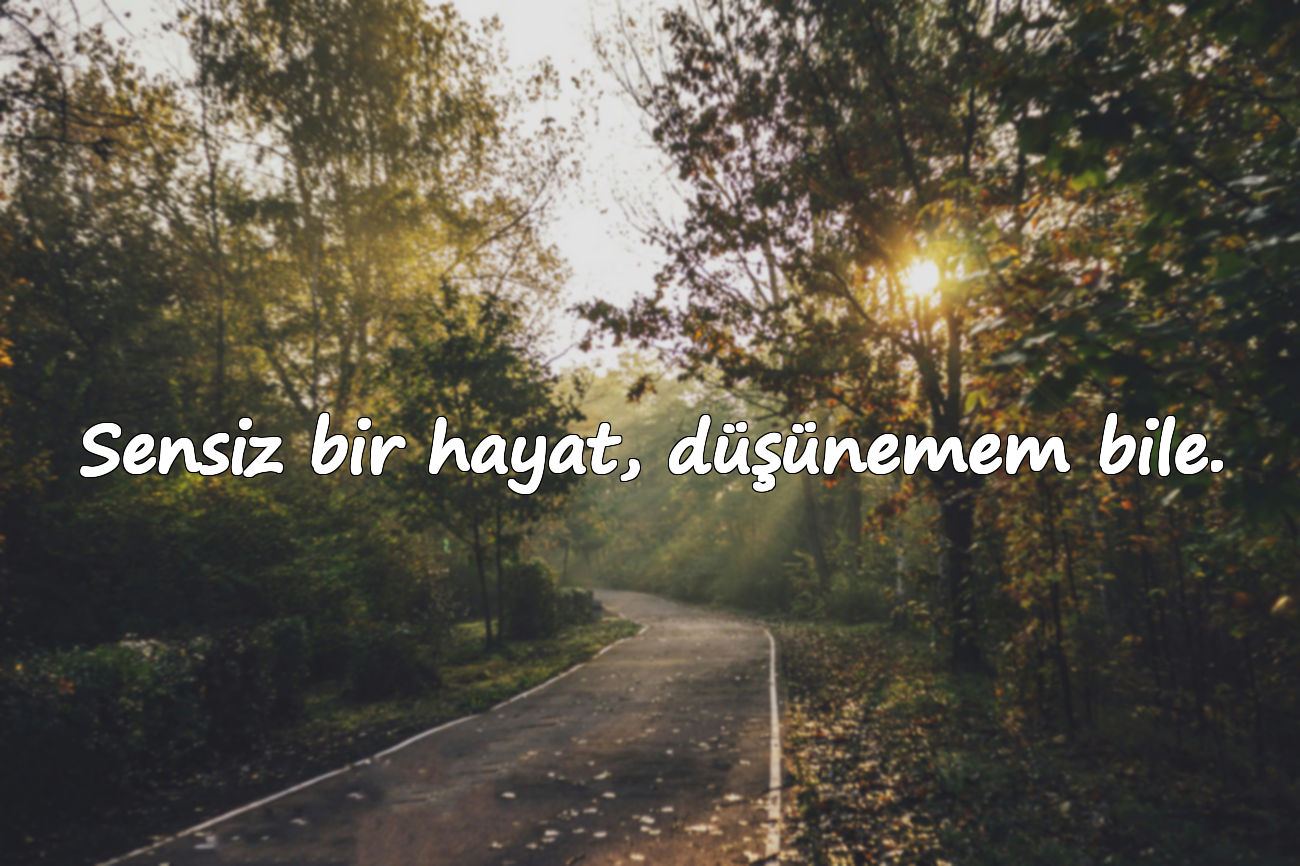 Sensiz bir hayat, düşünemem bile.