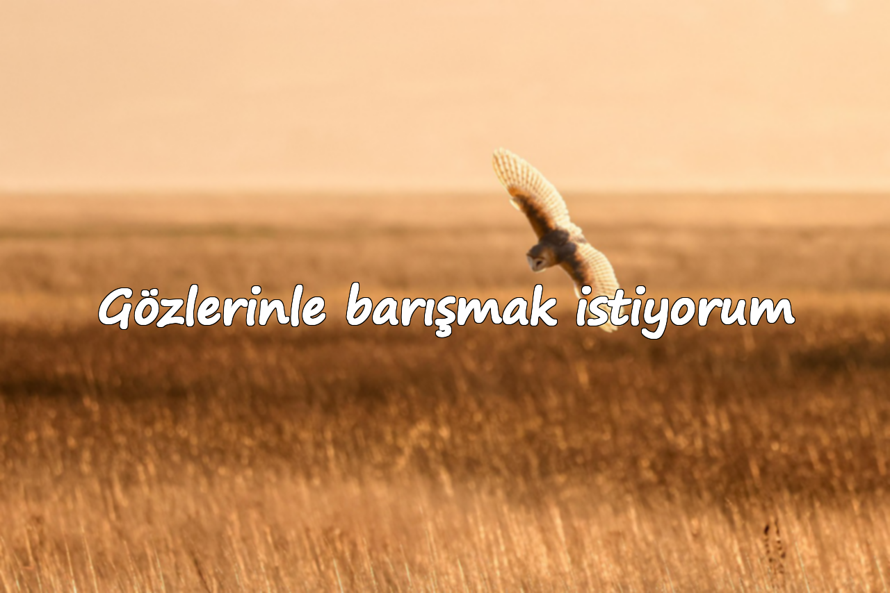 Gözlerinle barışmak istiyorum