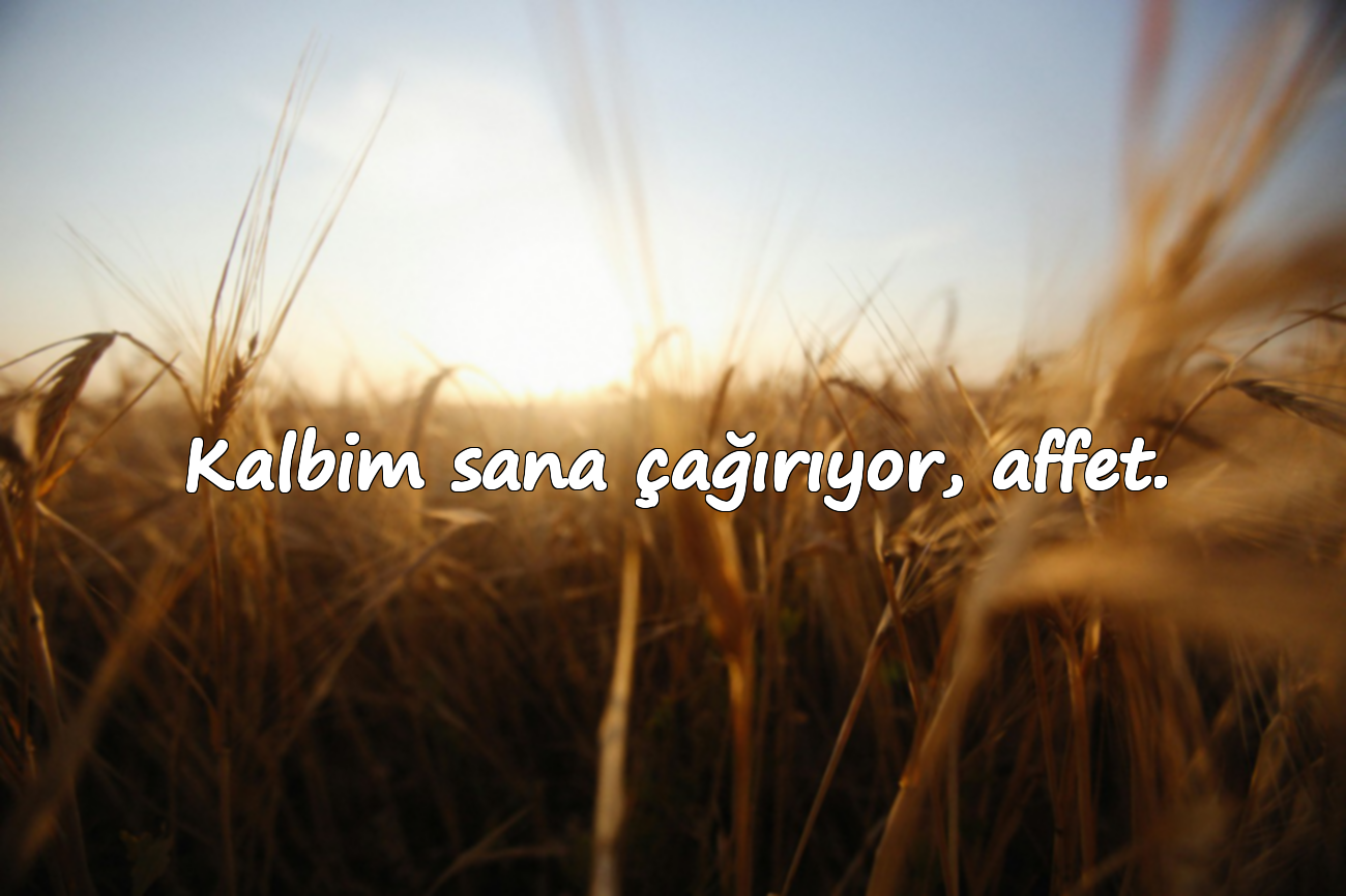 Kalbim sana çağırıyor, affet.