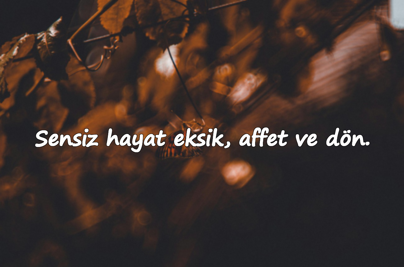 Sensiz hayat eksik, affet ve dön.