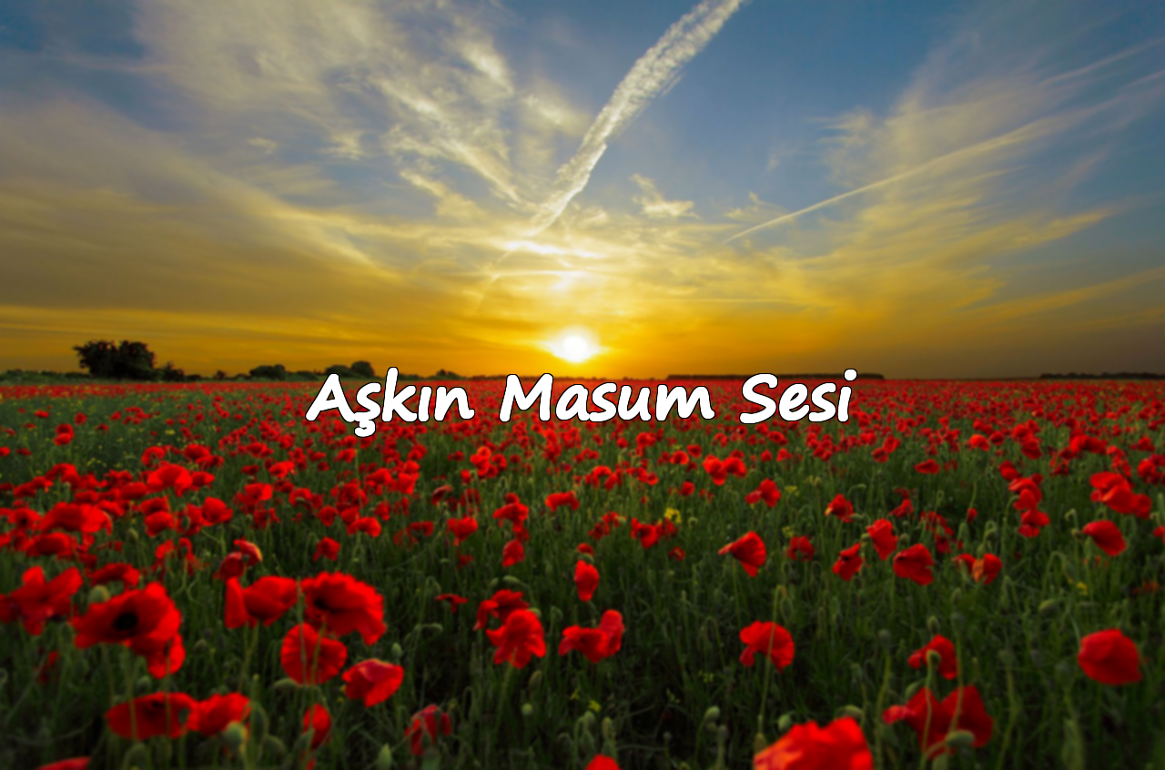 Aşkın Masum Sesi