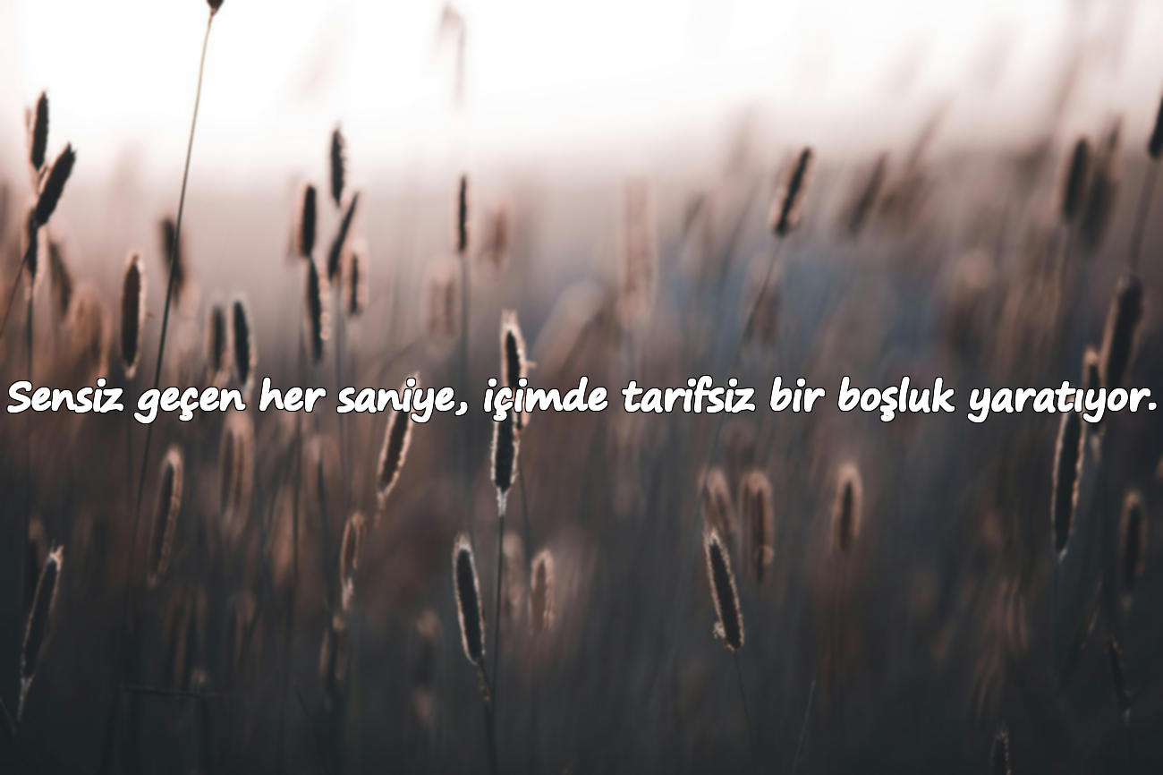 Sensiz geçen her saniye, içimde tarifsiz bir boşluk yaratıyor.