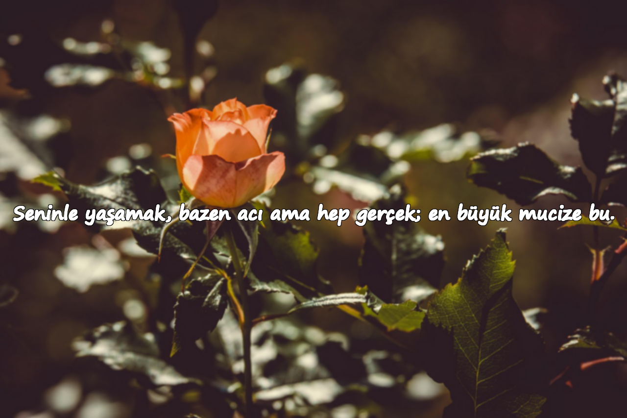 Seninle yaşamak, bazen acı ama hep gerçek; en büyük mucize bu.